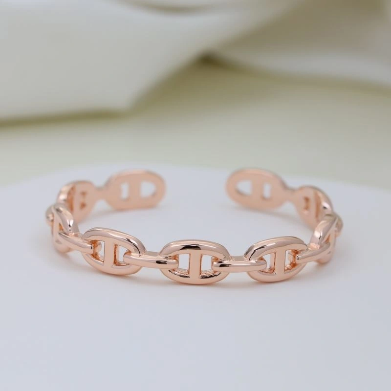 Hermes Bracelets Bright 247336