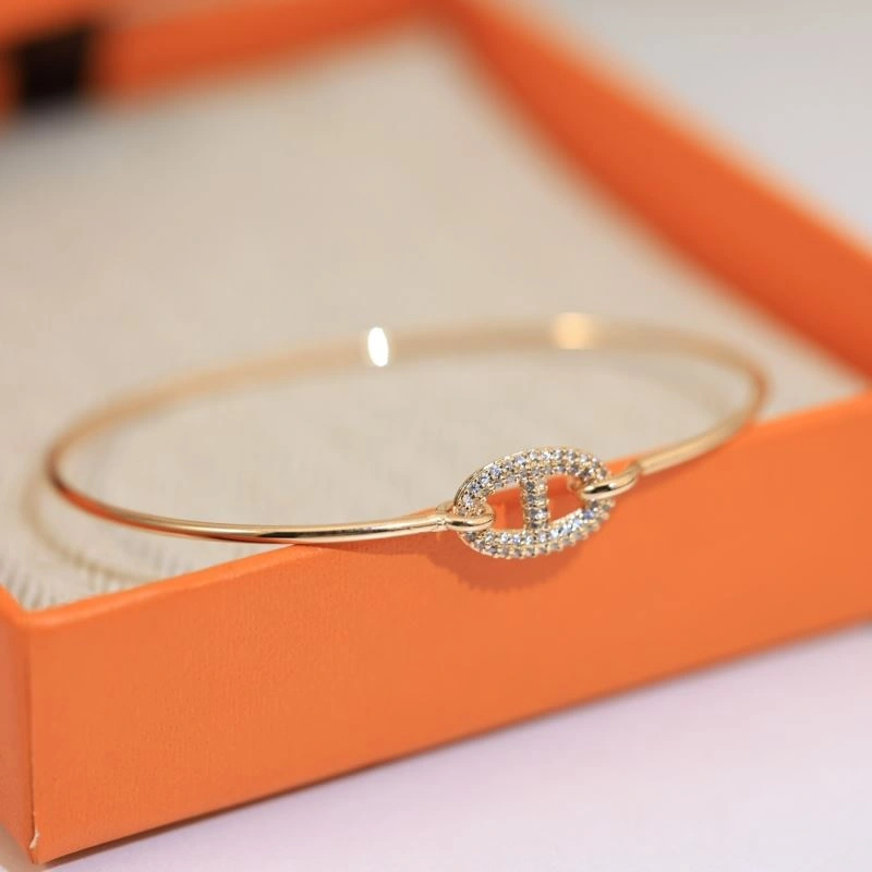 TechFriendly Hermes Bracelets 247243