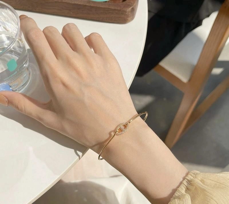 TechFriendly Hermes Bracelets 247243