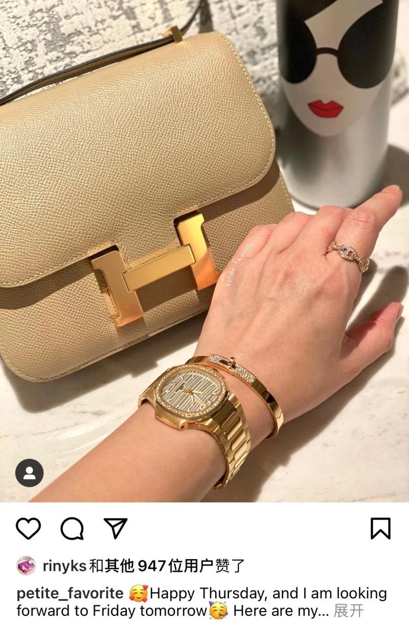 Hermes Constance Bags Elegant 48877