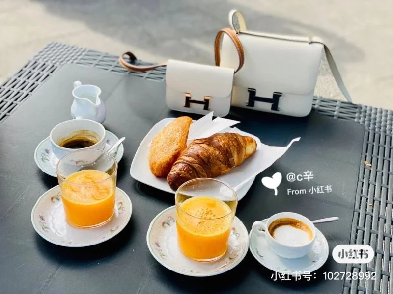Seasonal Hermes Constance Bags 48411