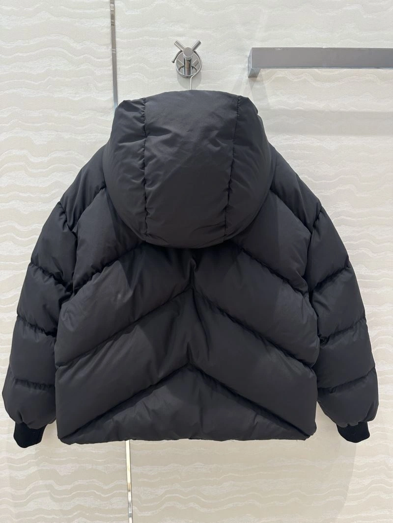 HighPerformance Hermes Down Jackets 130319