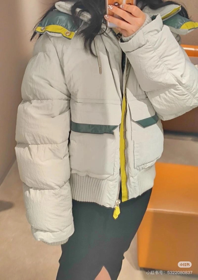 Modern Hermes Down Jackets 130320