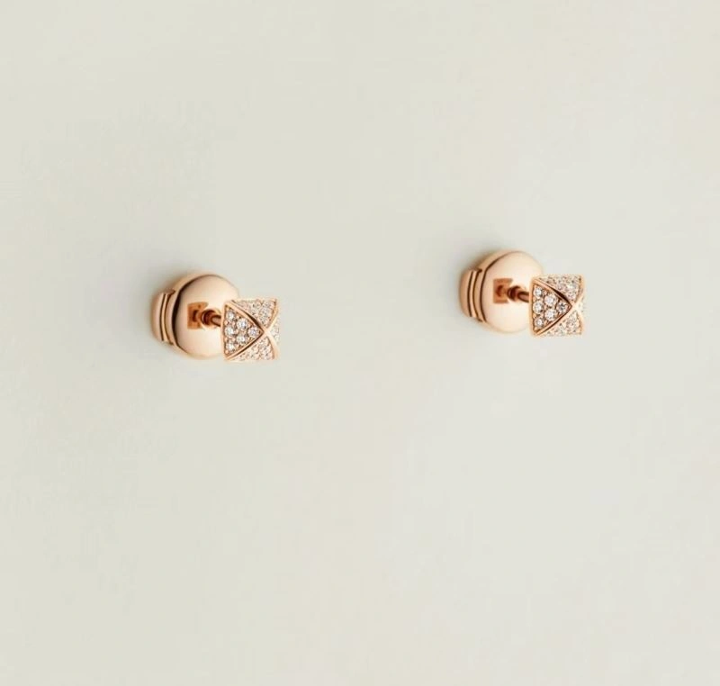 Packable Hermes Earrings 247426