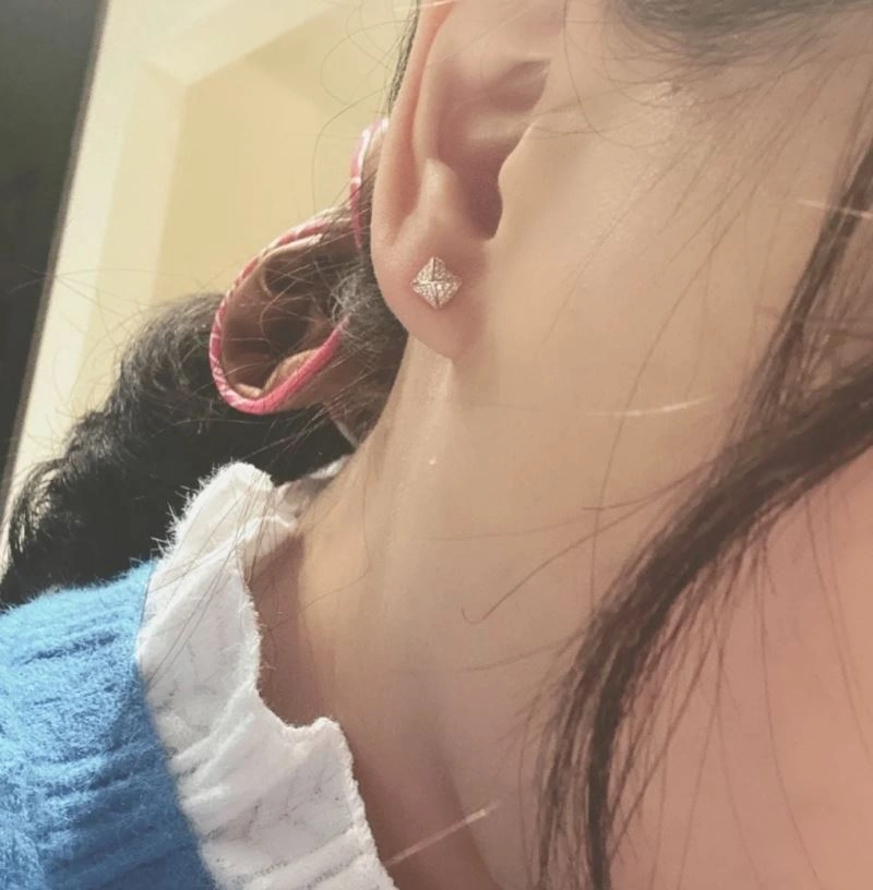 Packable Hermes Earrings 247426