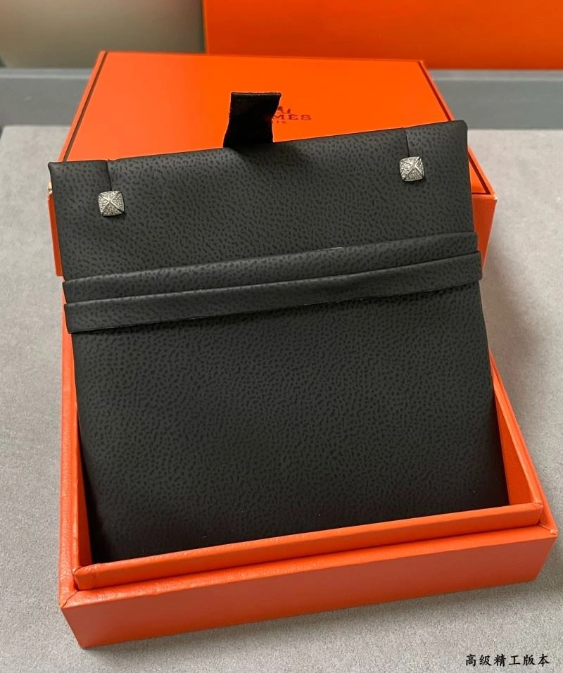 Packable Hermes Earrings 247426