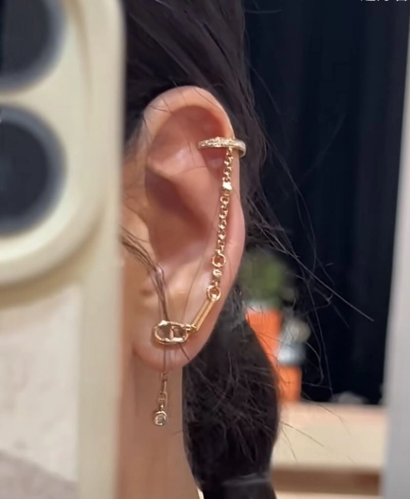 Hermes Earrings Popular 247425