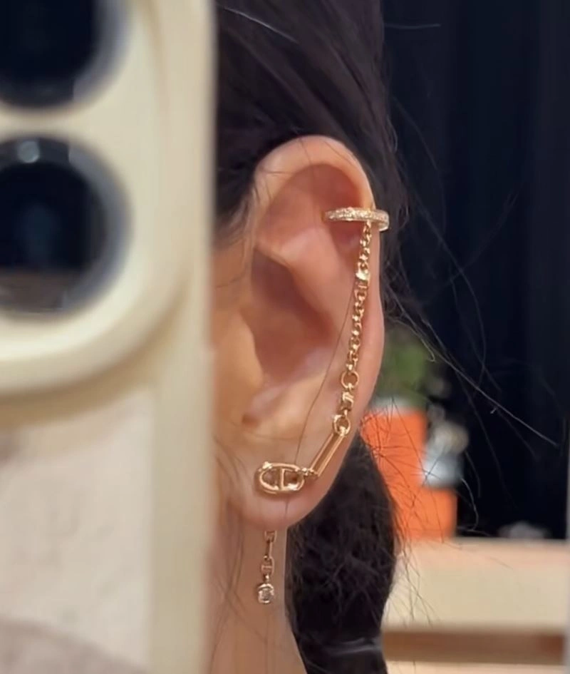 Hermes Earrings Popular 247425