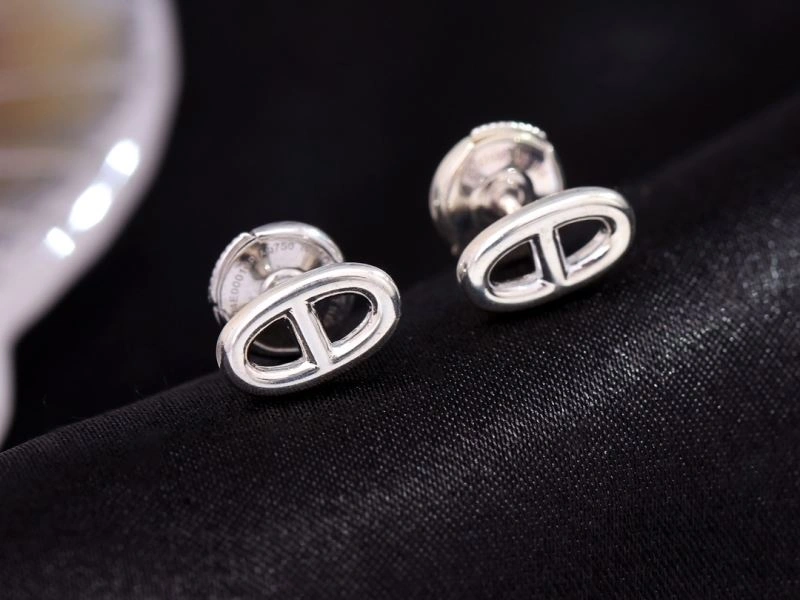 Vibrant Hermes Earrings 247440