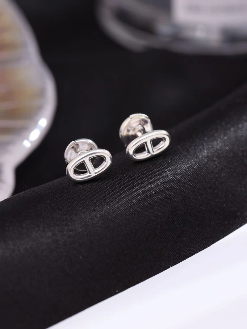 Vibrant Hermes Earrings 247440
