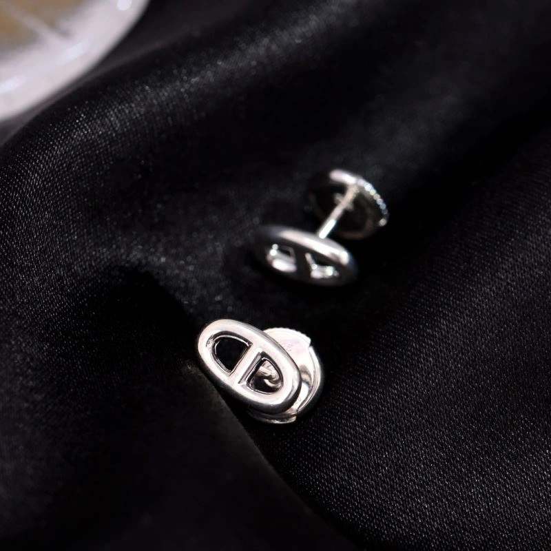 Vibrant Hermes Earrings 247440