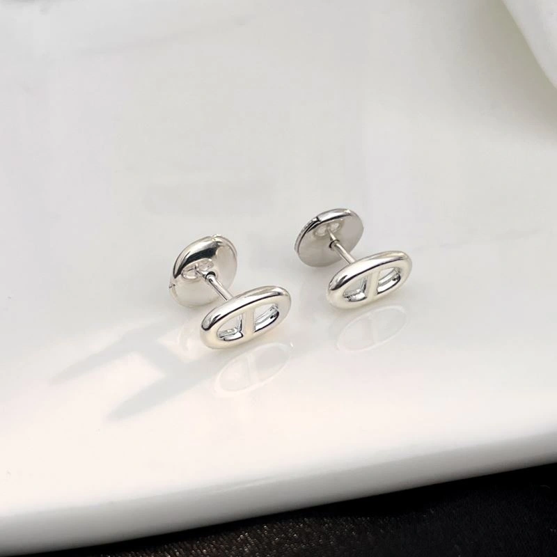 Vibrant Hermes Earrings 247440