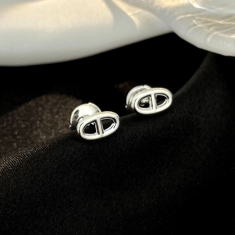 Vibrant Hermes Earrings 247440