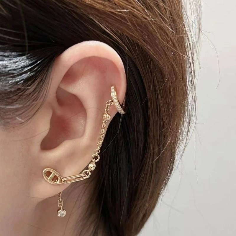 MultiPurpose Hermes Earrings 247449