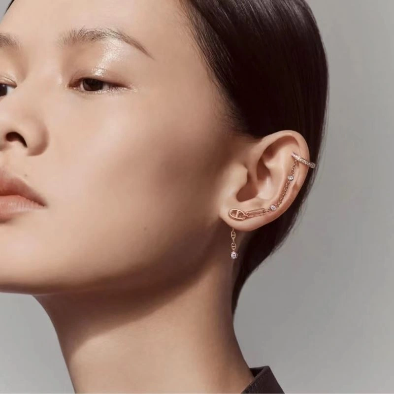 MultiPurpose Hermes Earrings 247449