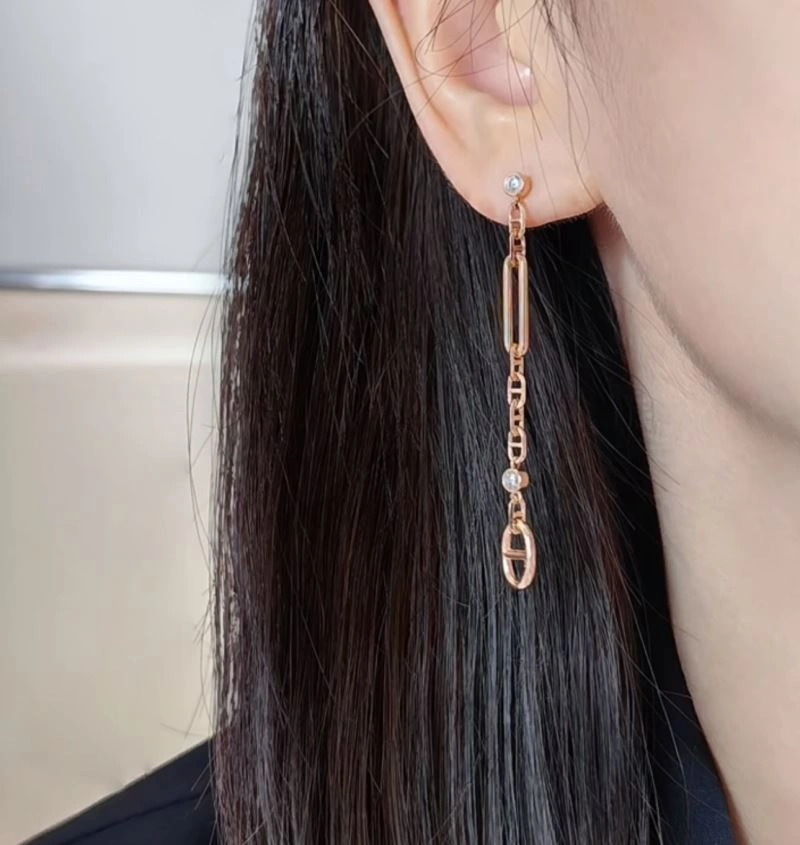 Hermes Earrings Chic 247391
