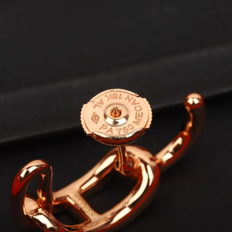TechFriendly Hermes Earrings 247383