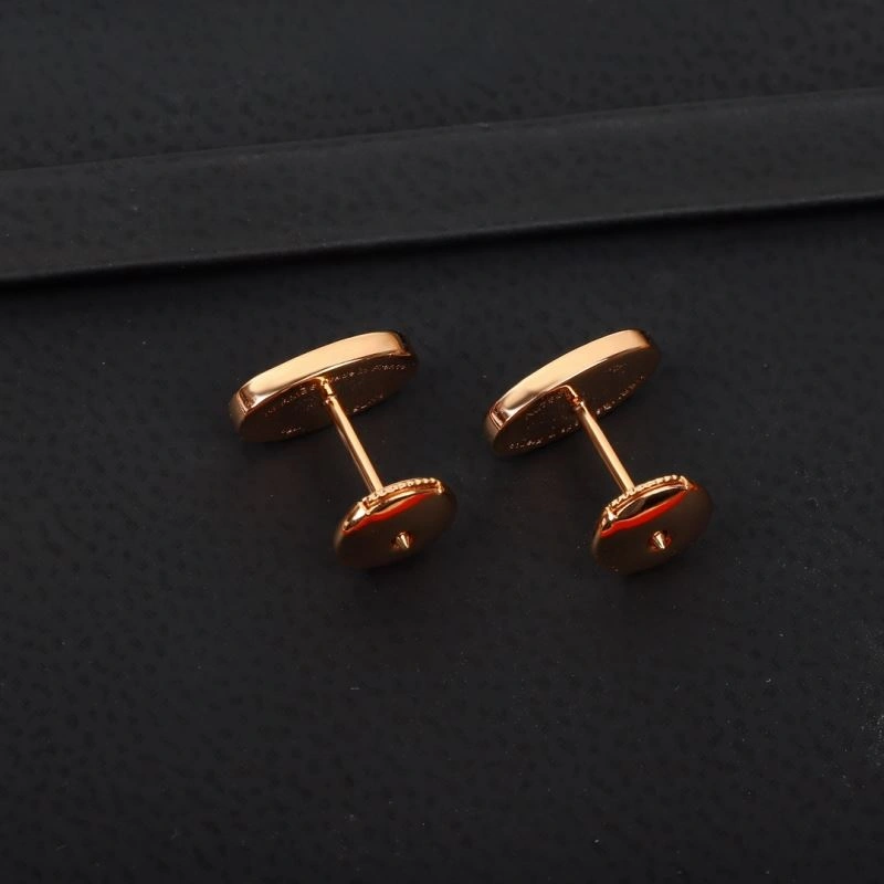 Hermes Earrings Popular 247582