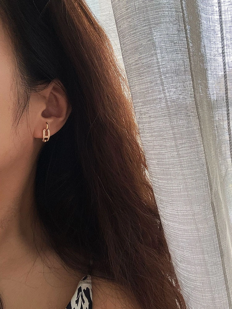 Hermes Earrings Upgraded 247581