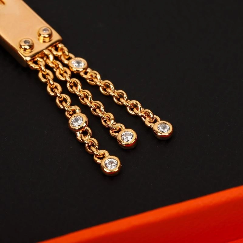 Popular Hermes Earrings 247585
