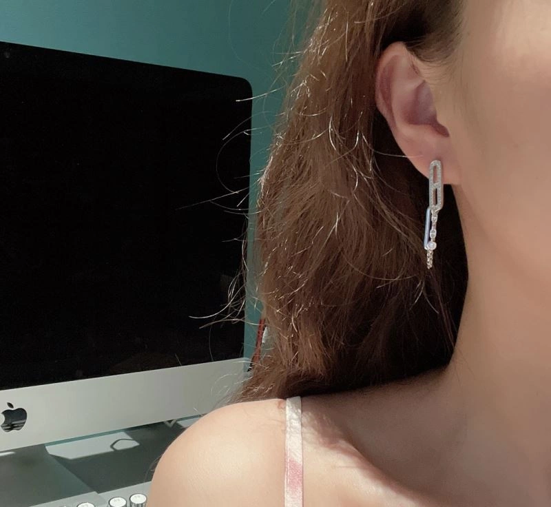 DailyWear Hermes Earrings 247583