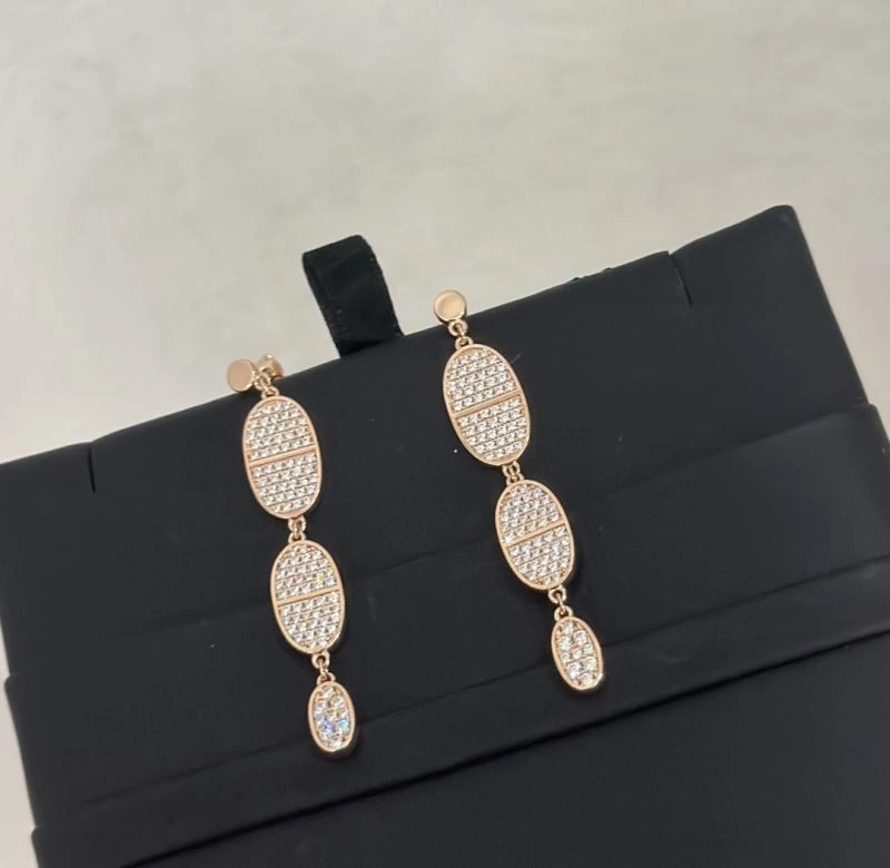 Hermes Earrings Snug 247578