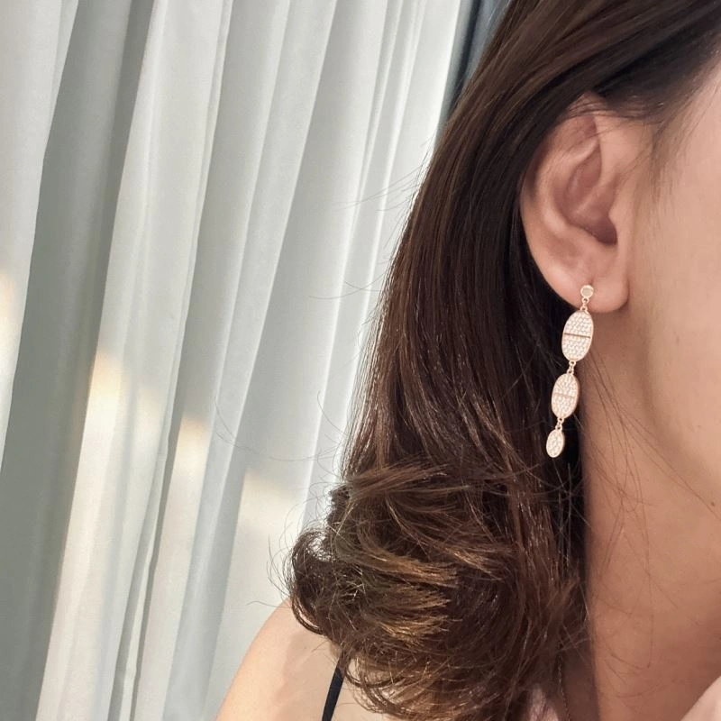 Hermes Earrings Snug 247578