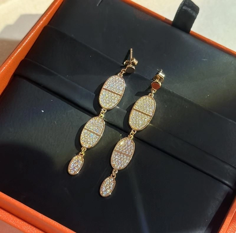 Hermes Earrings Snug 247578
