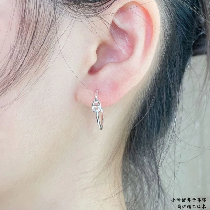 Reliable Hermes Earrings 247499