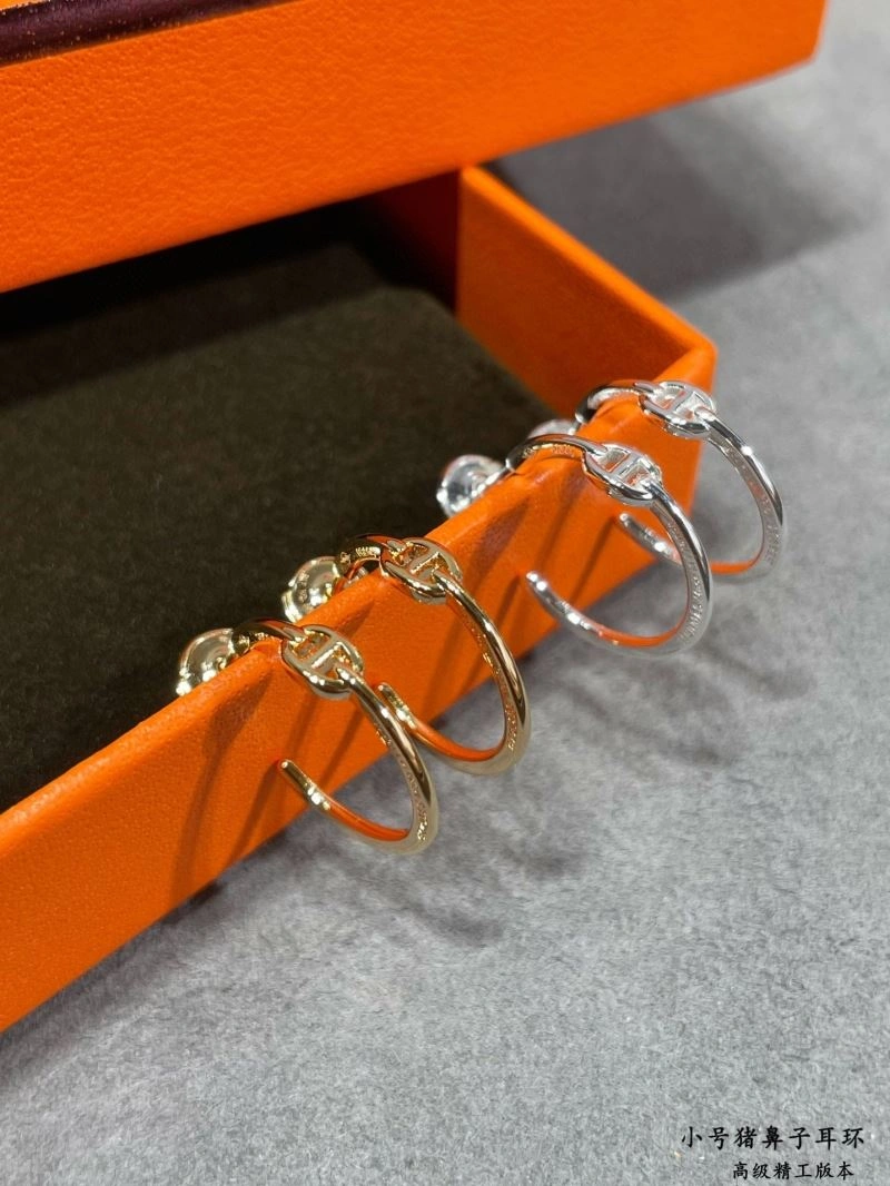 Reliable Hermes Earrings 247499