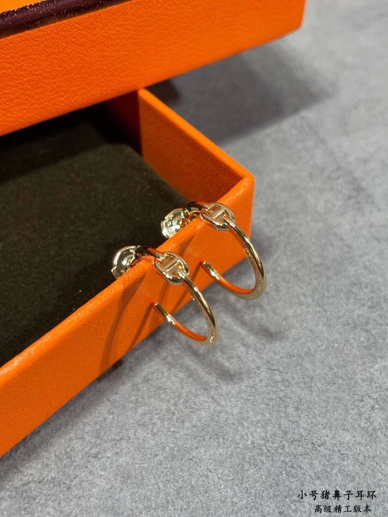 Reliable Hermes Earrings 247499