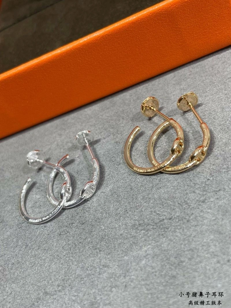 Reliable Hermes Earrings 247499