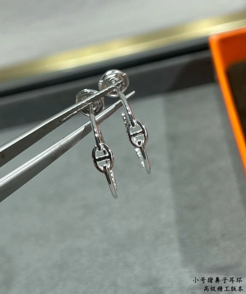 Reliable Hermes Earrings 247499