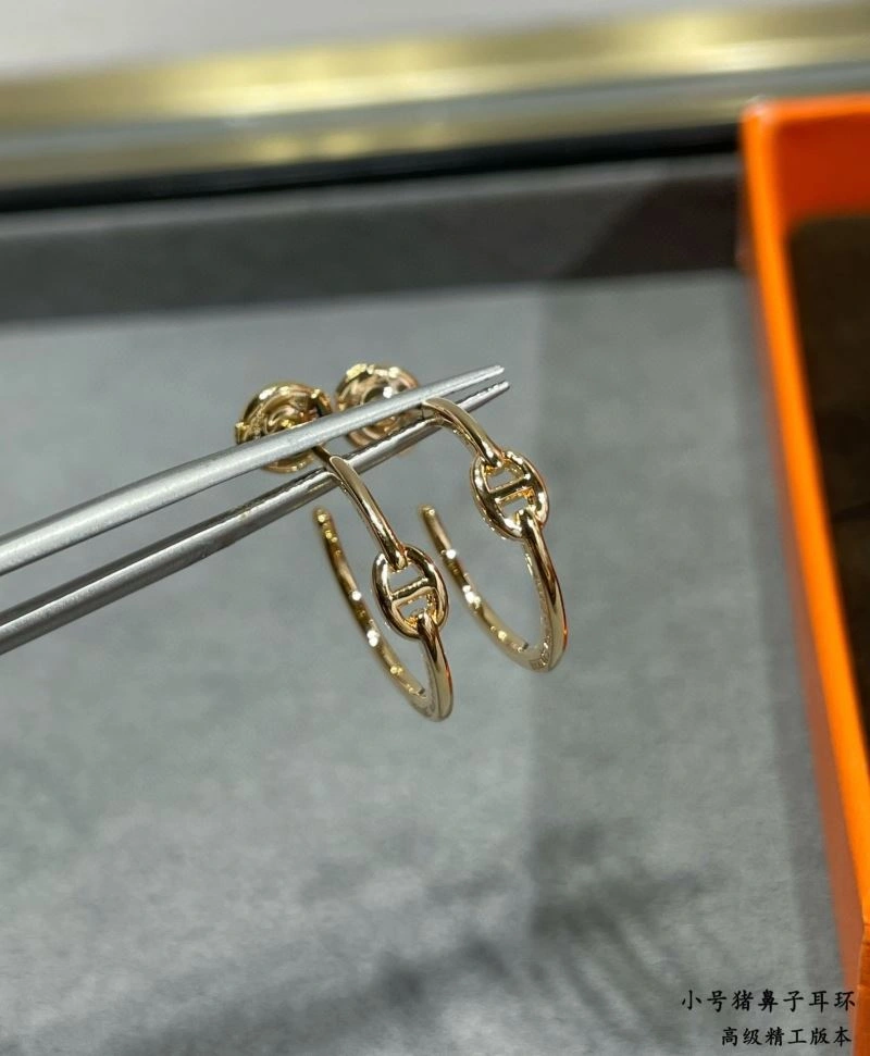 Reliable Hermes Earrings 247499