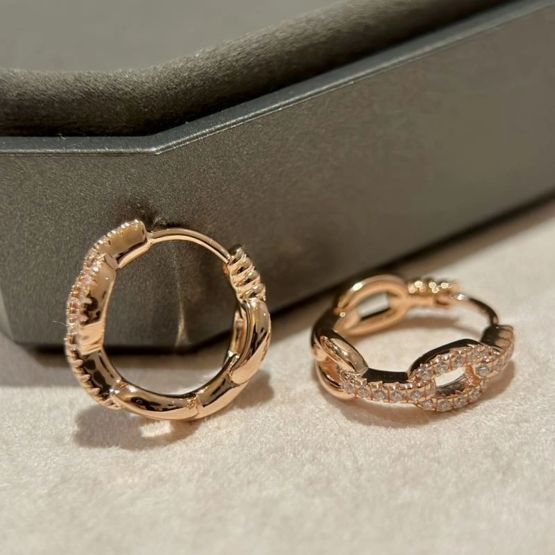 Thermal Hermes Earrings 247474