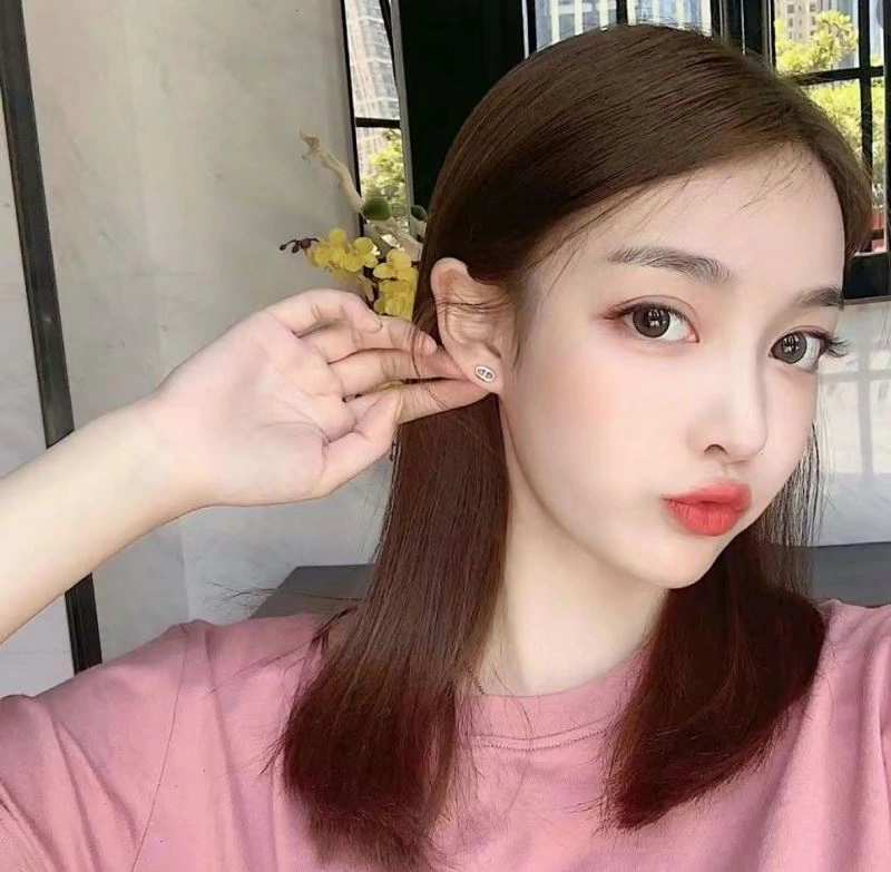 Hermes Earrings Upgraded 247480