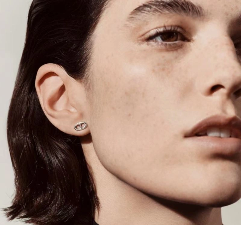 Hermes Earrings Upgraded 247480