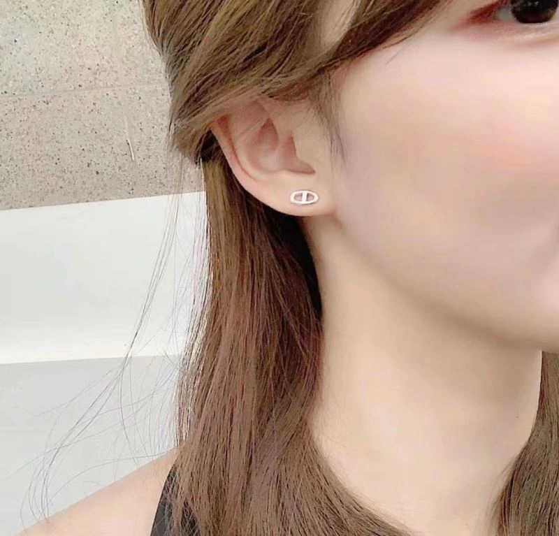 Hermes Earrings Upgraded 247480
