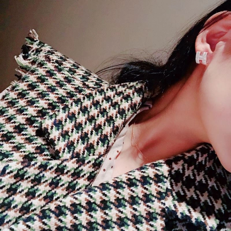 Hermes Earrings Flexible 247334