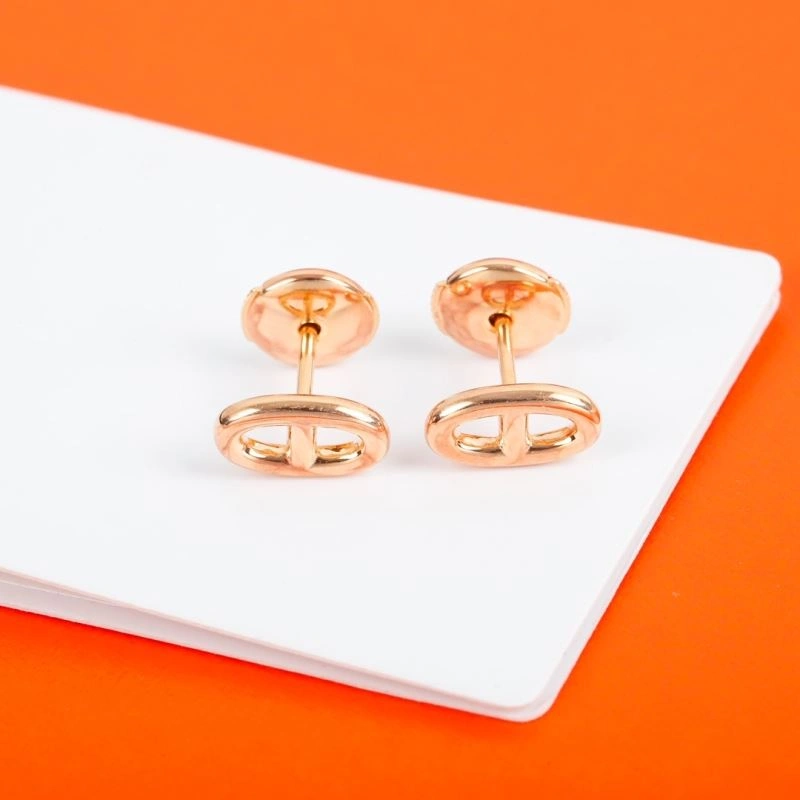 Affordable Hermes Earrings 247310