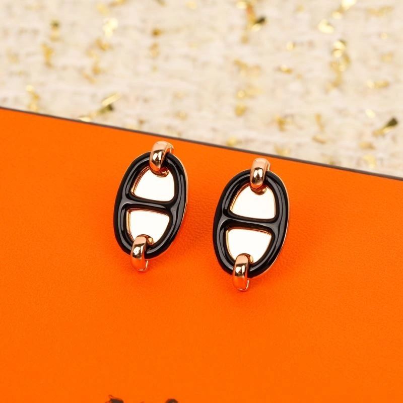 Unisex Hermes Earrings 246738