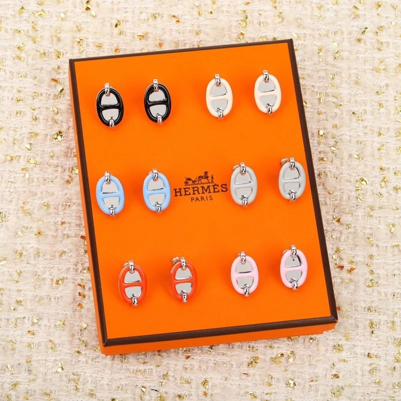Attractive Hermes Earrings 247226