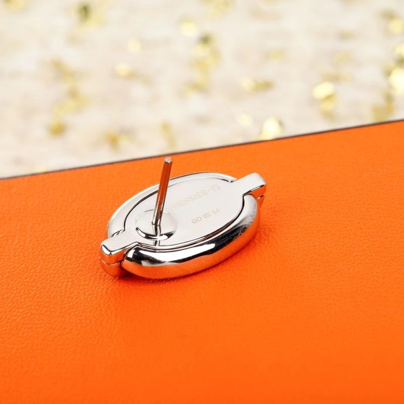 Attractive Hermes Earrings 247226