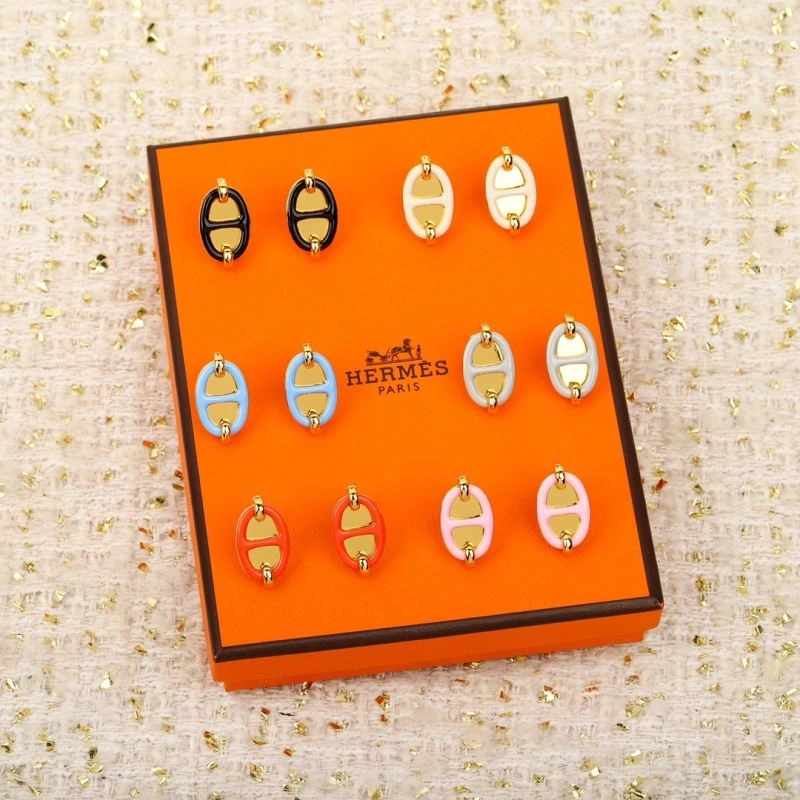 Vibrant Hermes Earrings 247212