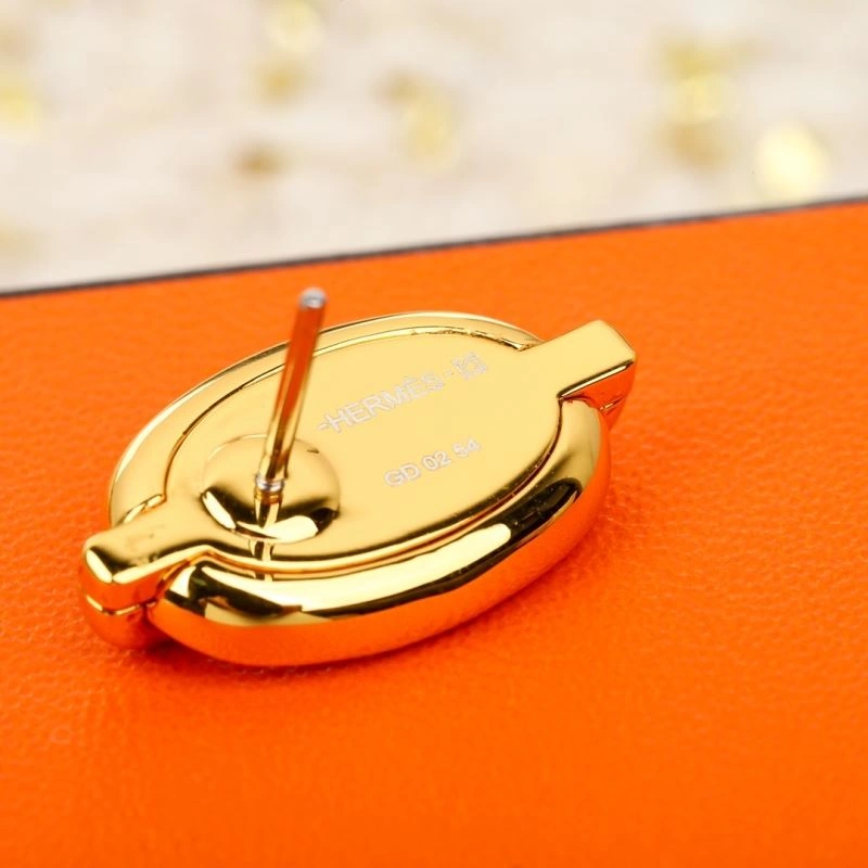 Vibrant Hermes Earrings 247212
