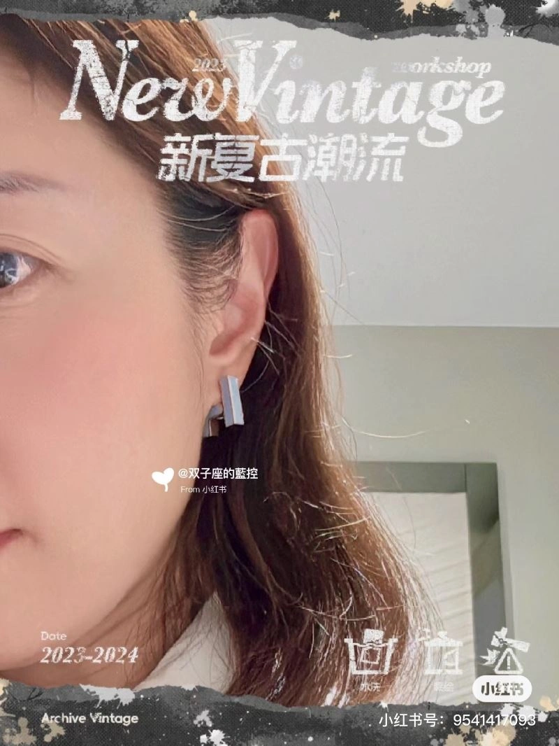 WrinkleFree Hermes Earrings 247208