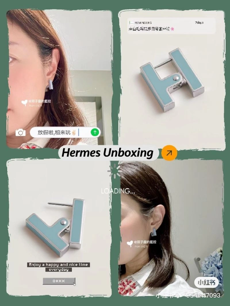 WrinkleFree Hermes Earrings 247208