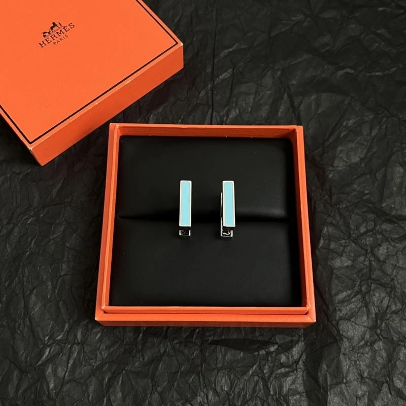 WrinkleFree Hermes Earrings 247208