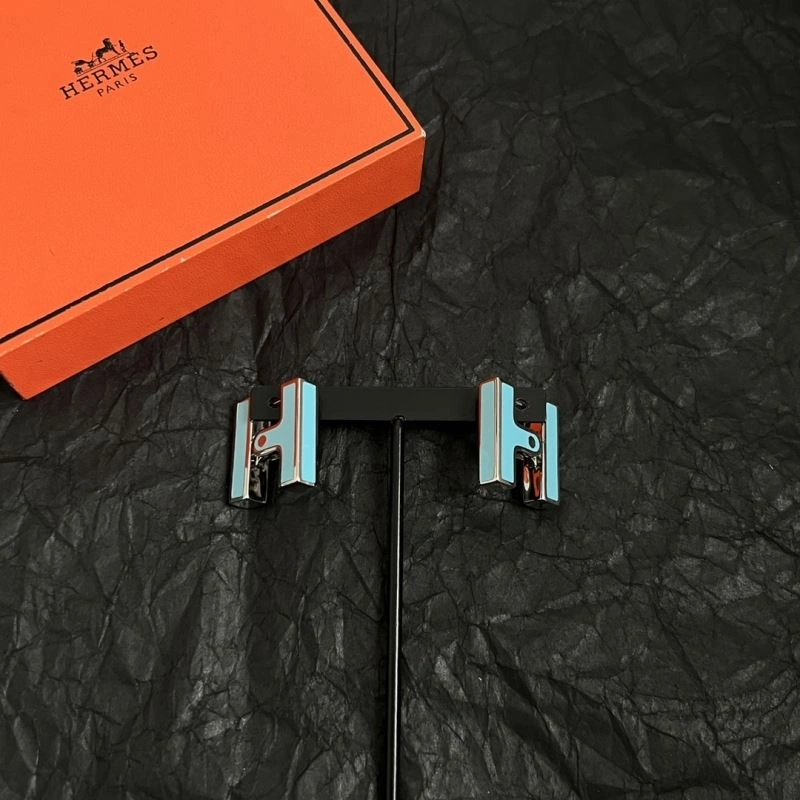 WrinkleFree Hermes Earrings 247208