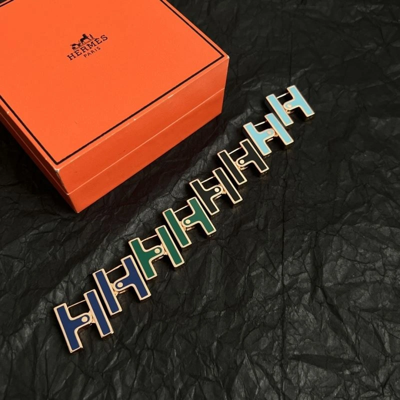 Refined Hermes Earrings 247206